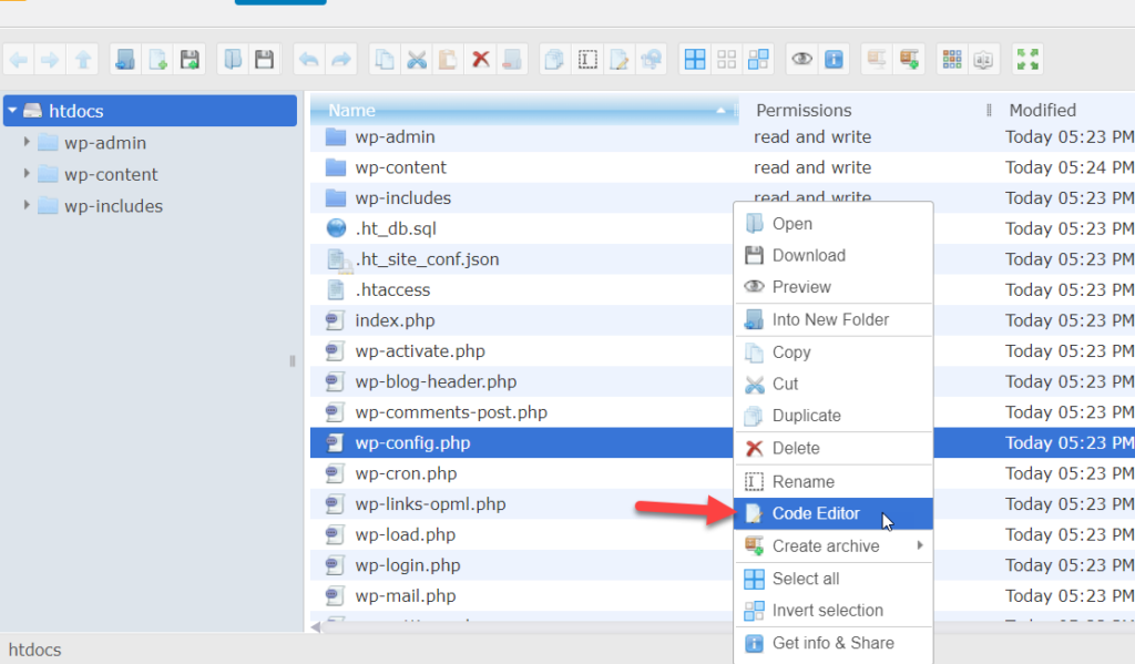 wp-config.php-Code-Editor