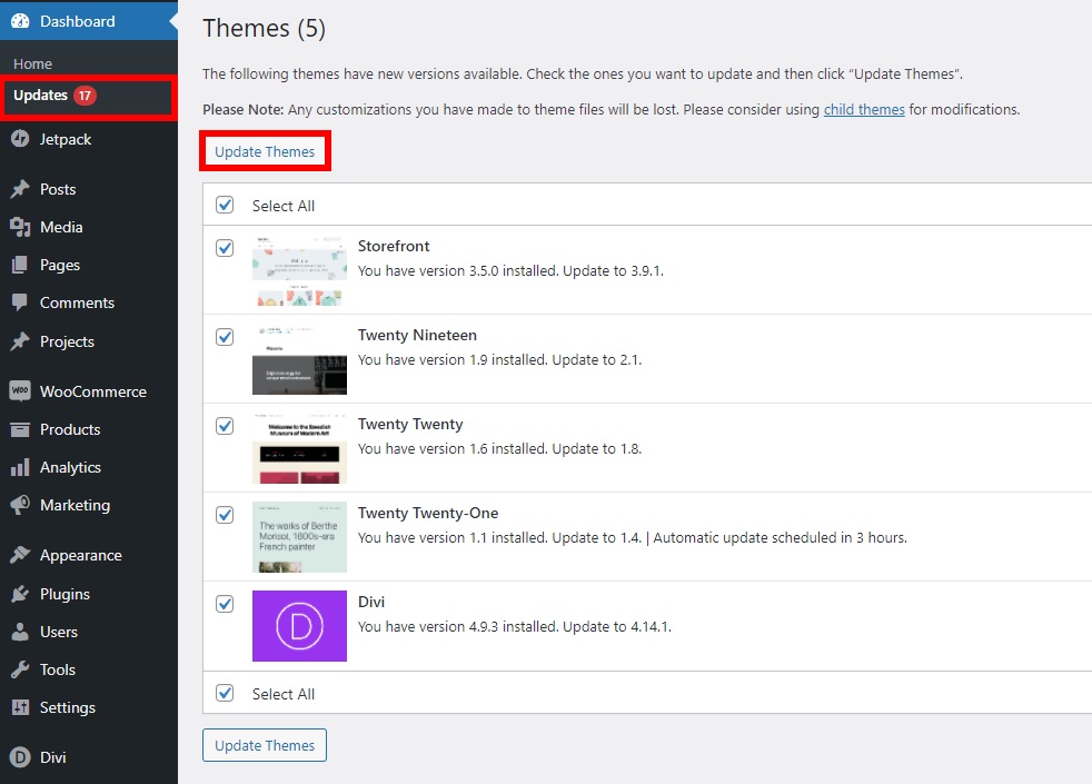 perbarui beberapa tema perbarui tema wordpress