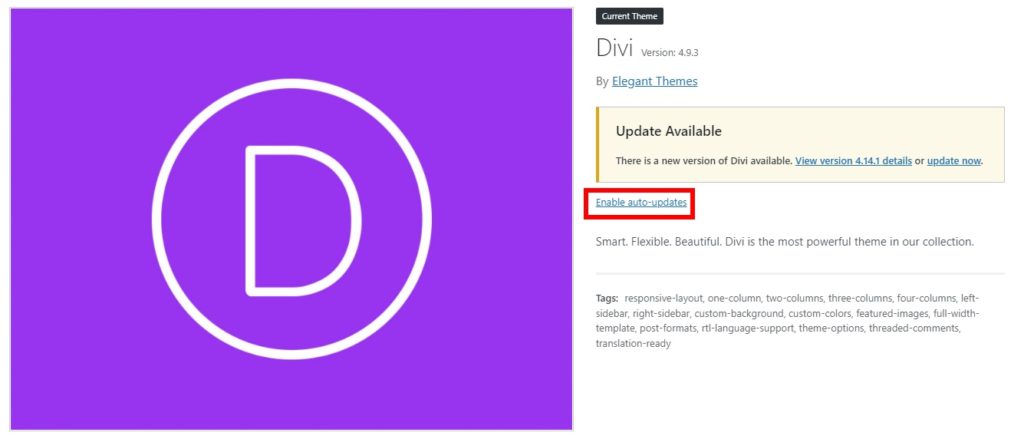 aktifkan pembaruan otomatis perbarui tema wordpress