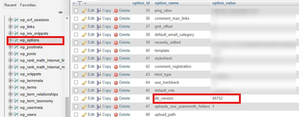db sürüm güncelleme wordpress veritabanı