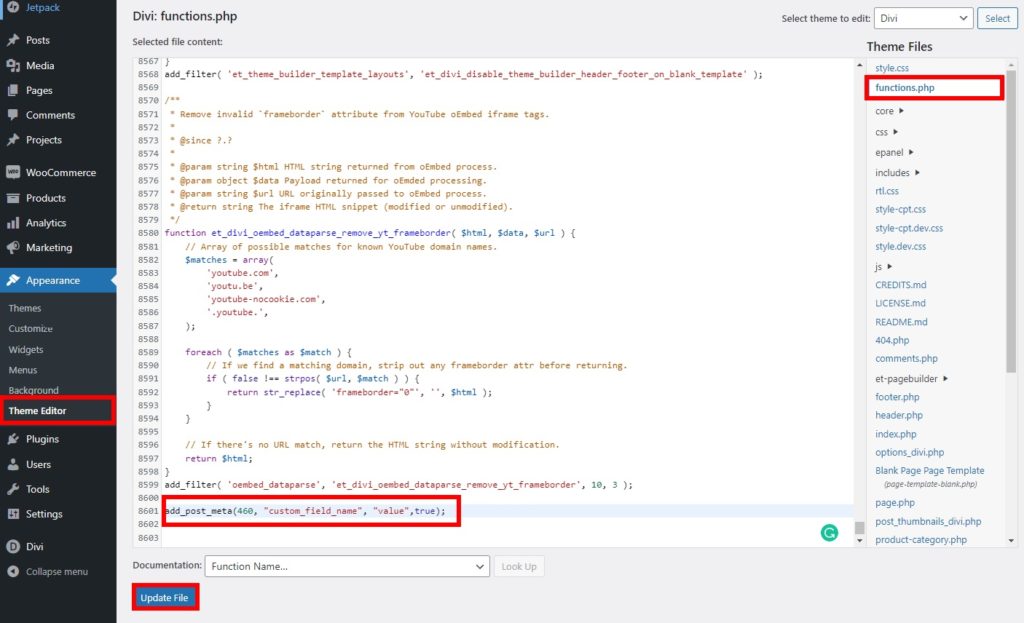 Tema düzenleyici wordpress programlı olarak özel alanlar oluşturun.