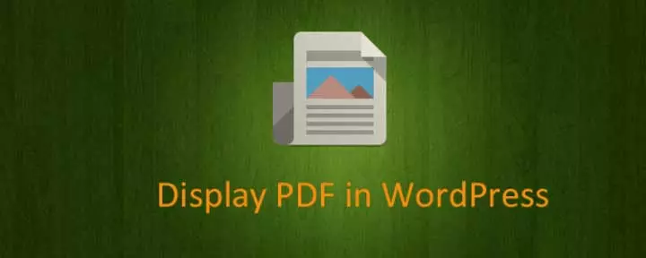 WonderPlugin PDF встроить
