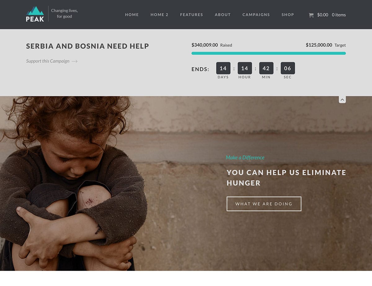 peak-การกุศล-wordpress-theme