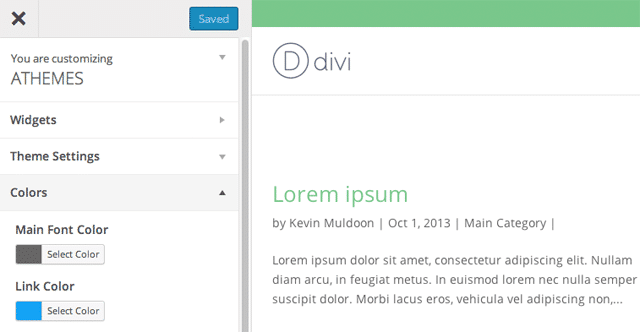 Divi 主題定制器