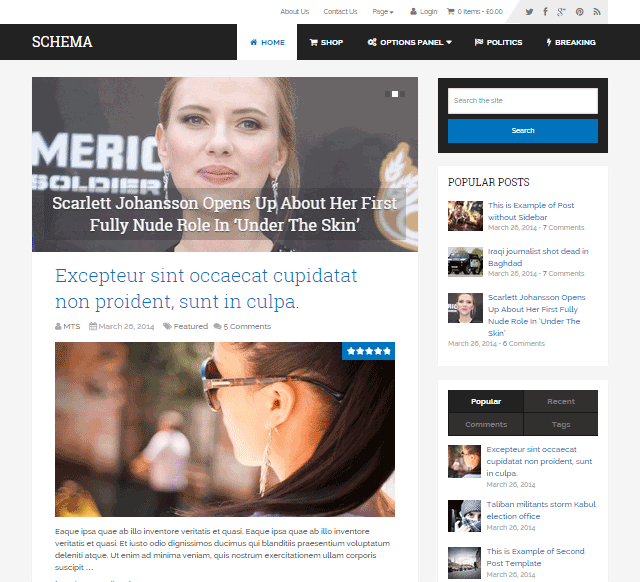 สคีมา WordPress Theme