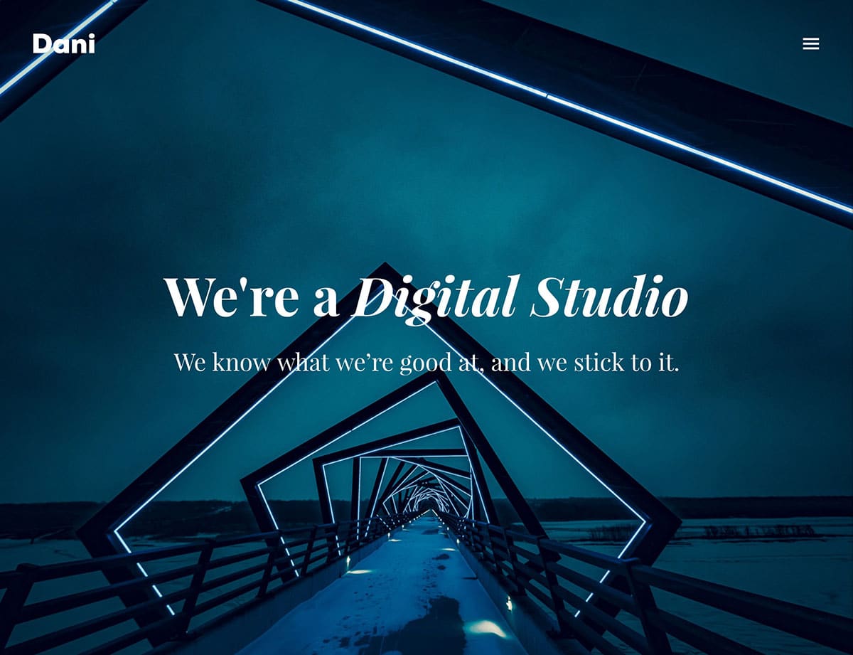 dani-agency-wordpress-theme