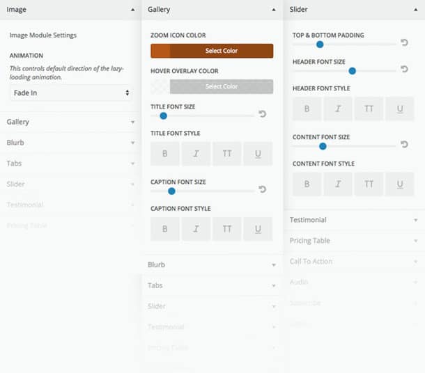 Divi Modül Özelleştirici