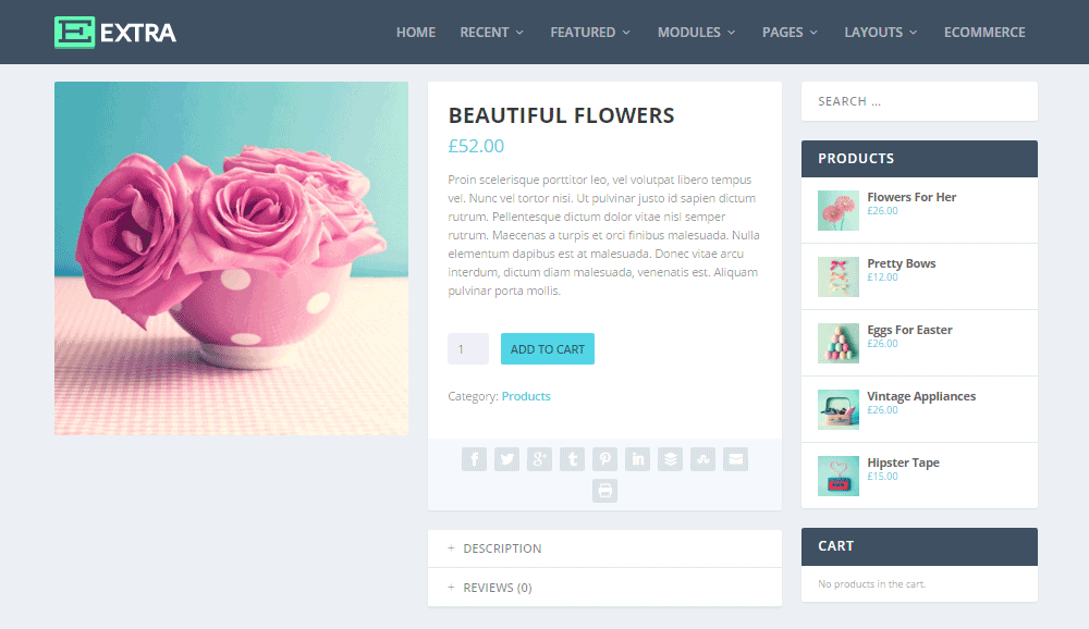 額外主題評論電子商務