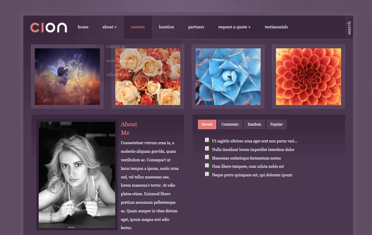 Cion 女性 WordPress 主題