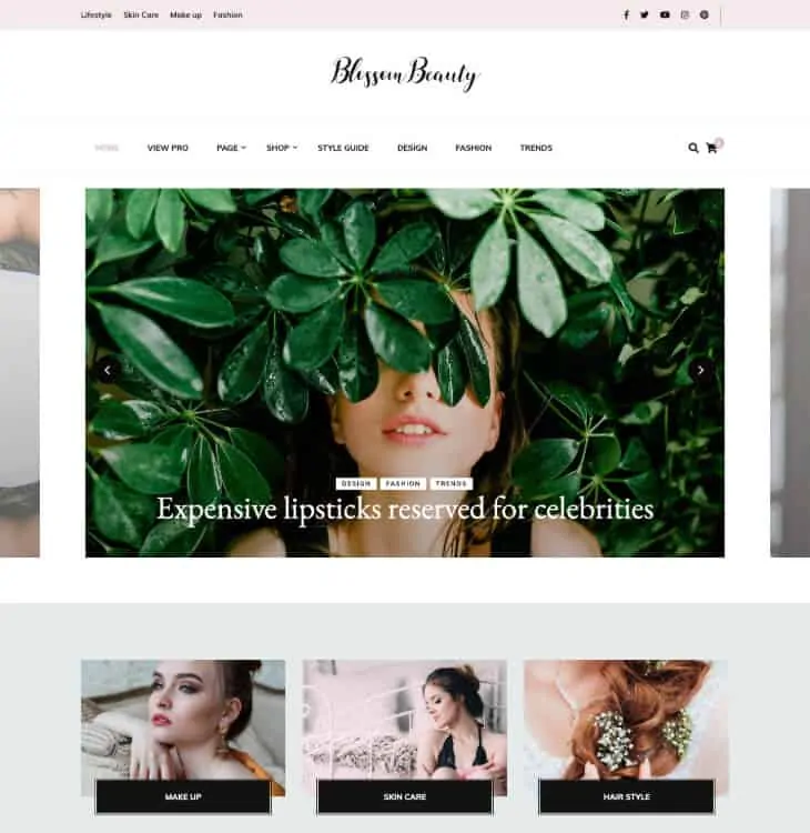 Blossom Beauty WordPress 主題