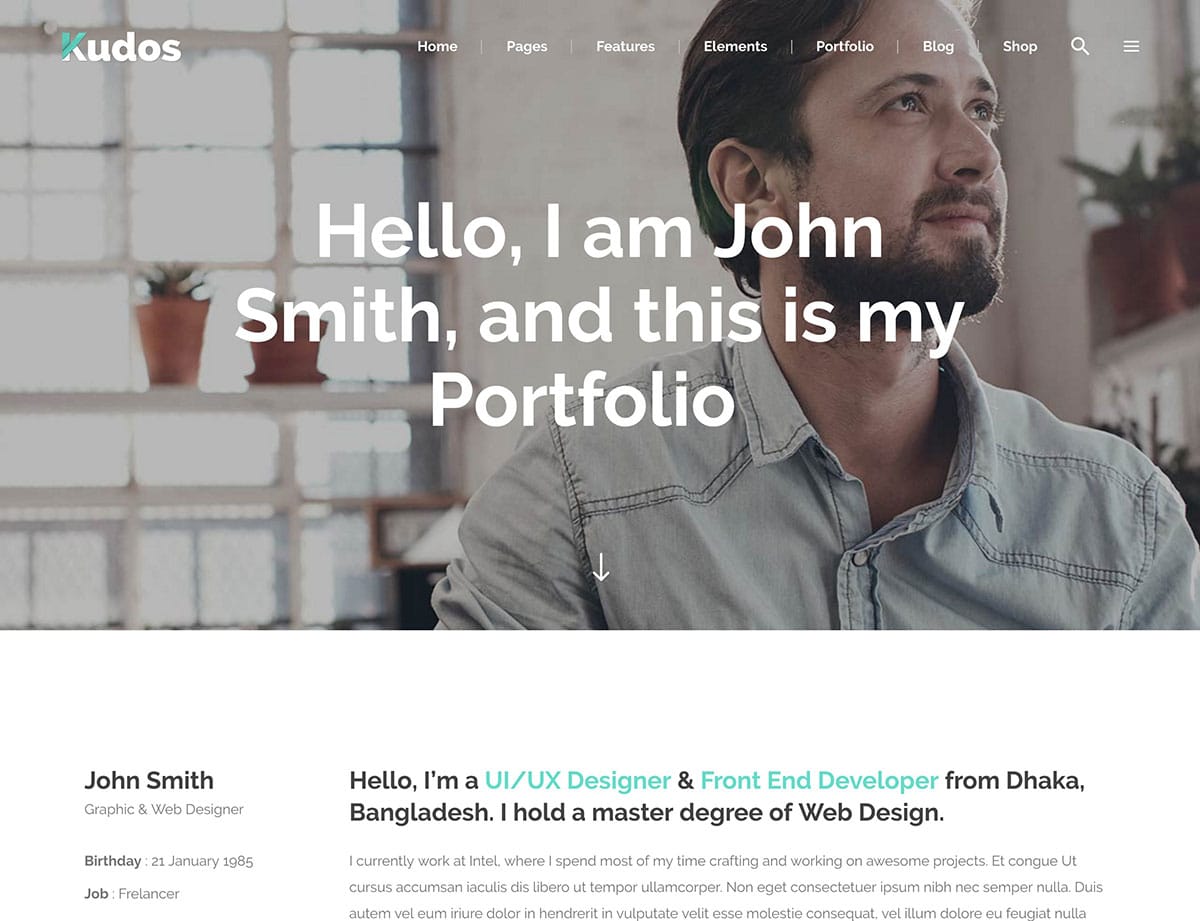 Kudos-Freelancer-Thema