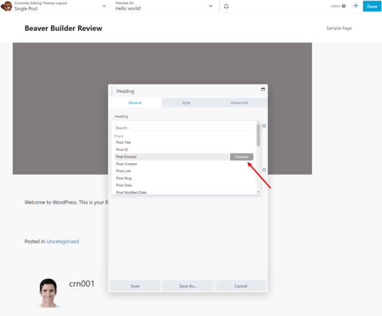 Beaver Themer'da Editör