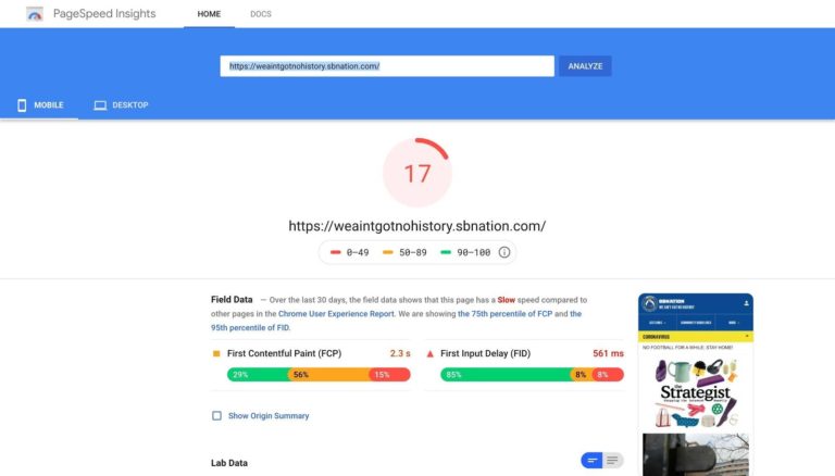 PageSpeed ​​Insights Sonuçları