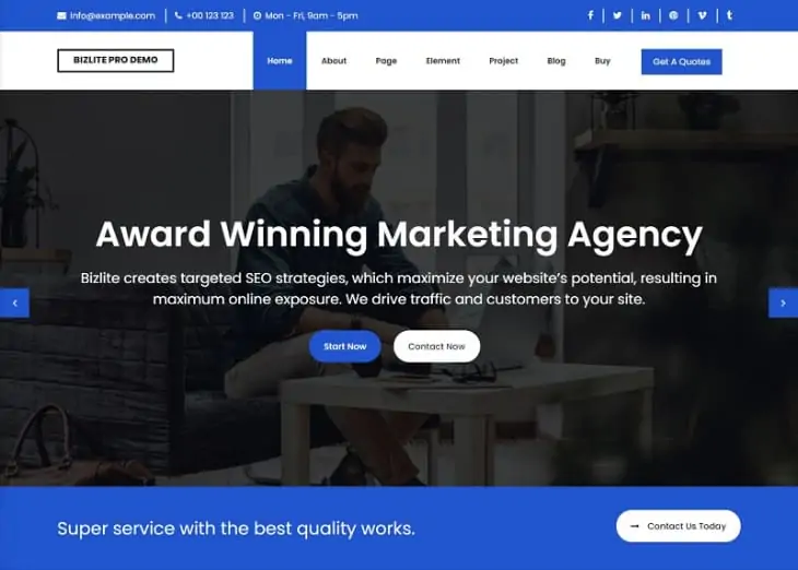 Motyw WordPress Bizlite Pro