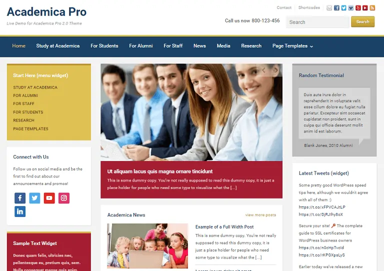 Akademik Profesyonel