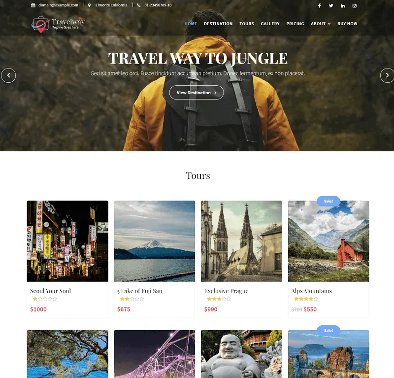 旅行方式專業版