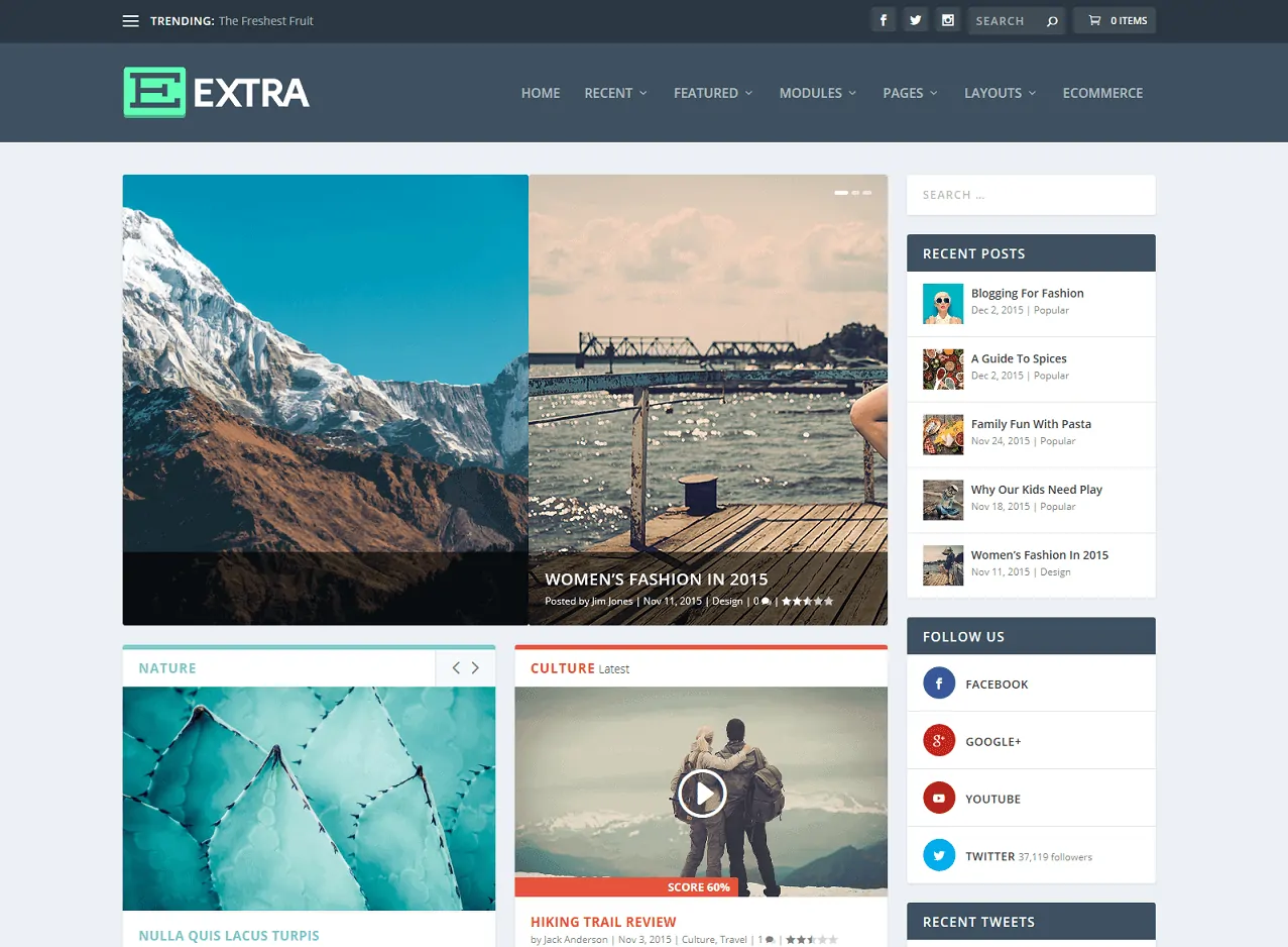 雜誌 WordPress 主題 DIvi