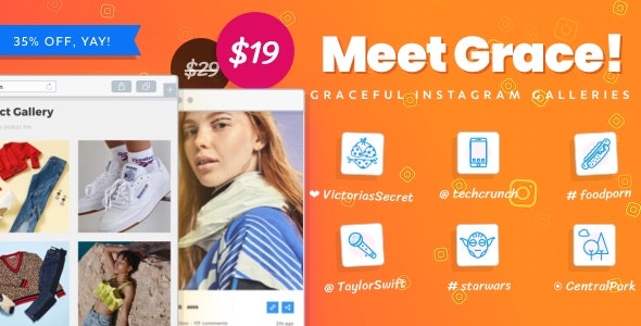 用于 WordPress 的 Grace Instagram 插件