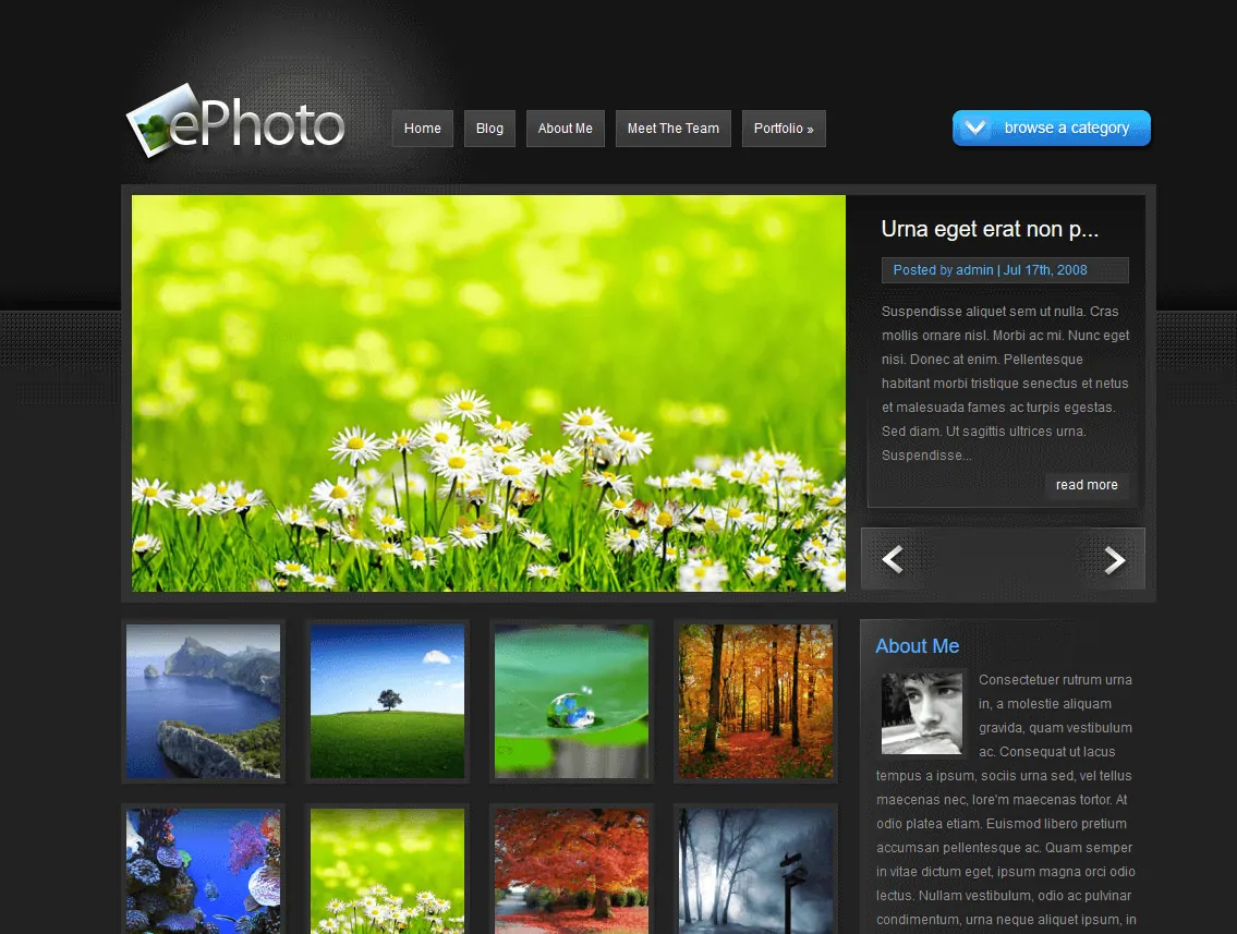 Portföy WordPress Teması