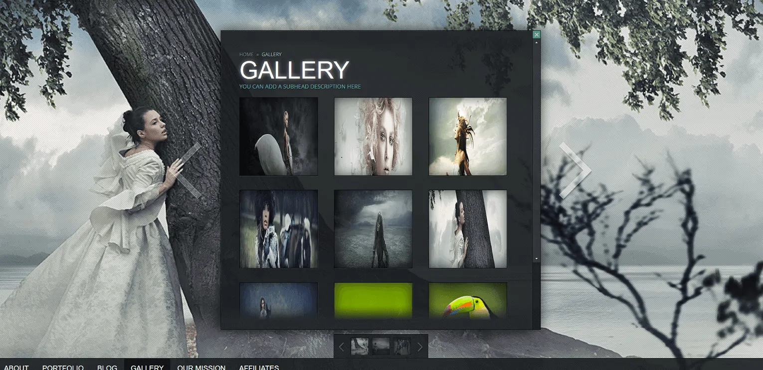 Portföy WordPress teması