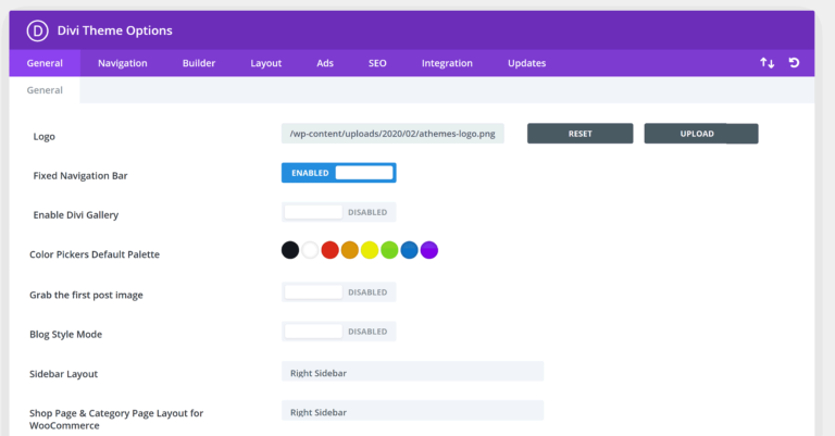 Divi 主题选项 - 设计