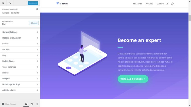Divi 中的 WordPress 主题定制器