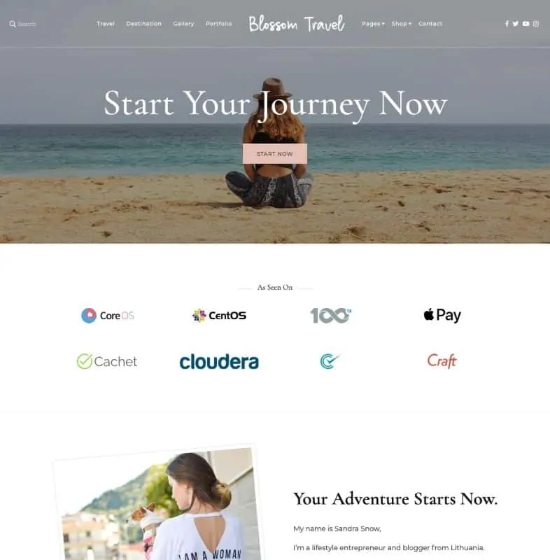 Motyw WordPress Blossom Travel Pro