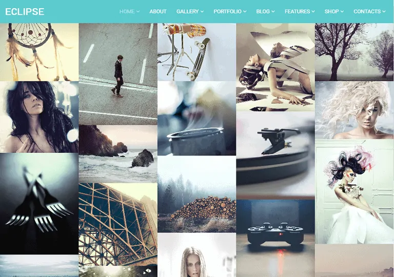 затмение фотография тема wordpress