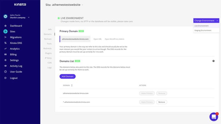 Kinsta Domains