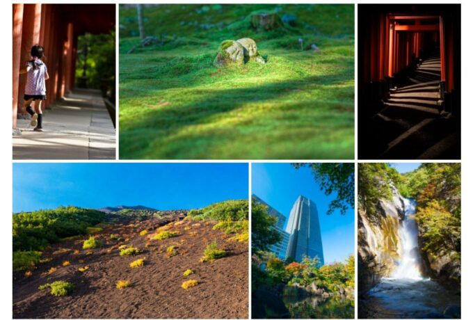 喵畫廊網格佈局