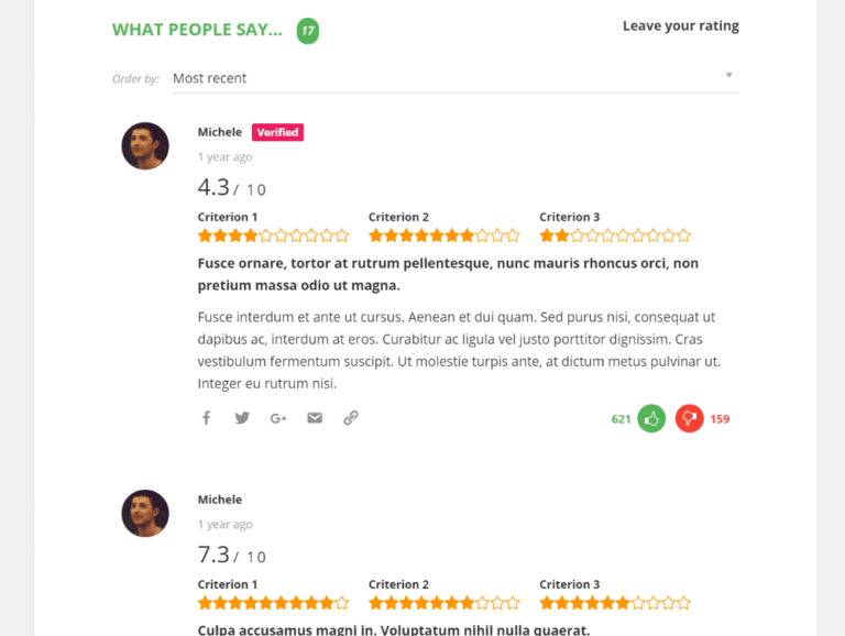 Exemplu de recenzent