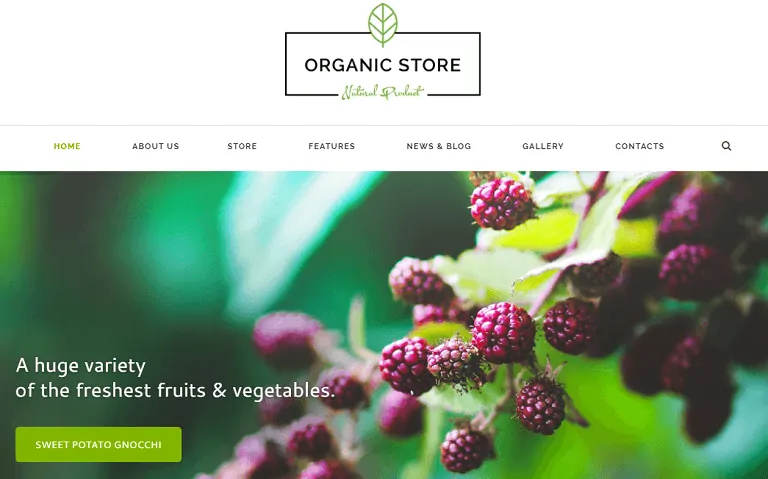 ร้านออร์แกนิค