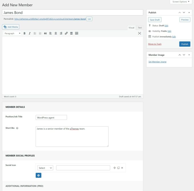 Интерфейс команды WP