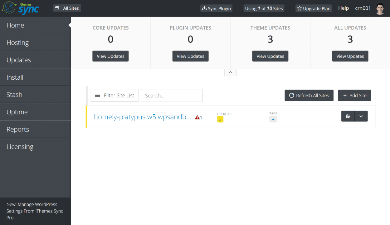 Tableau de bord iThemes Sync