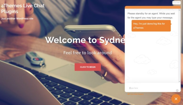 WP 实时聊天支持示例