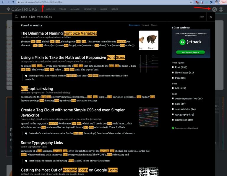 来自 CSS-Tricks 的 Jetpack 搜索示例