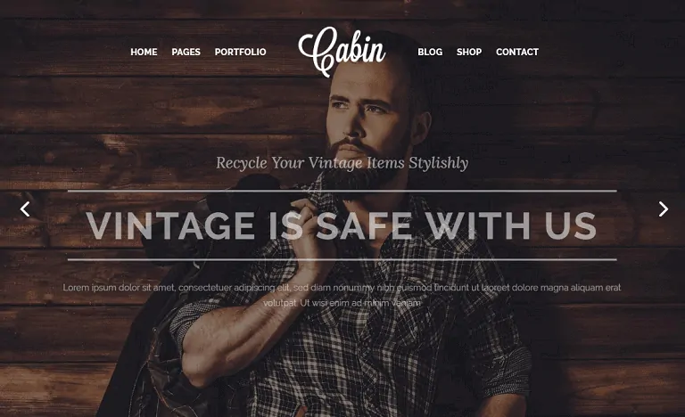 Салон самолета