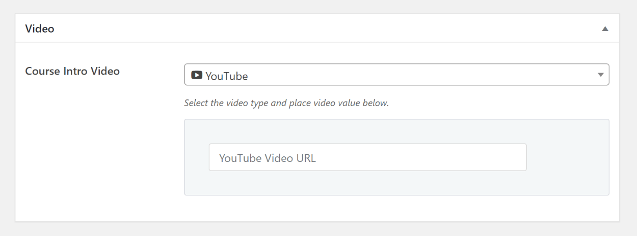 Image vedette de la vidéo