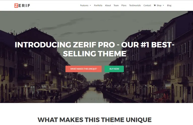 Zerif Pro