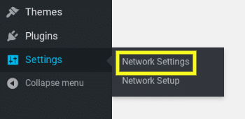 Der Menüpunkt „Netzwerkeinstellungen“ im WordPress Multisite-Admin.