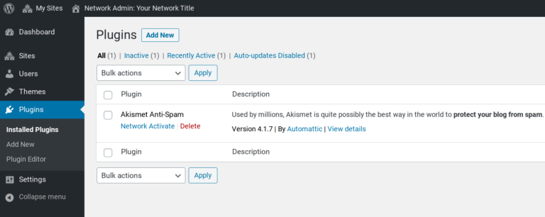 Die WordPress Multisite-Admin-Plugins-Seite.