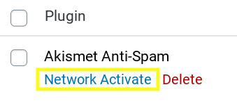 Der Link „Netzwerk aktivieren“ für ein WordPress-Plugin in einem Multisite-Netzwerk.