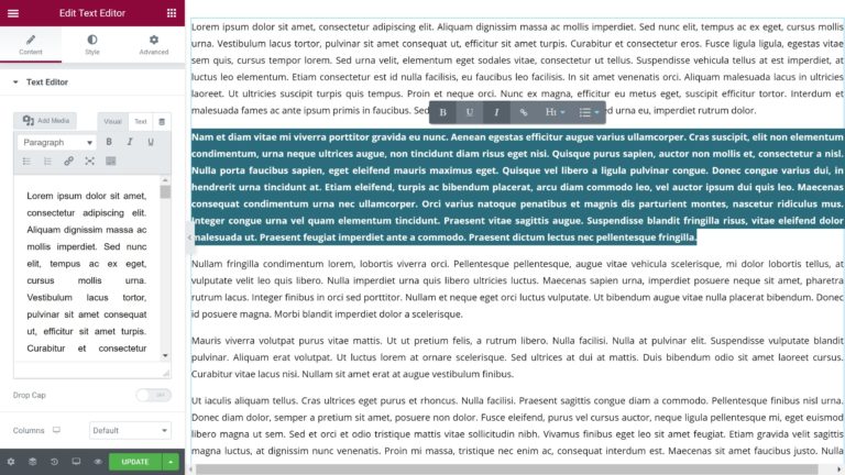 Editor di testo di Elementor