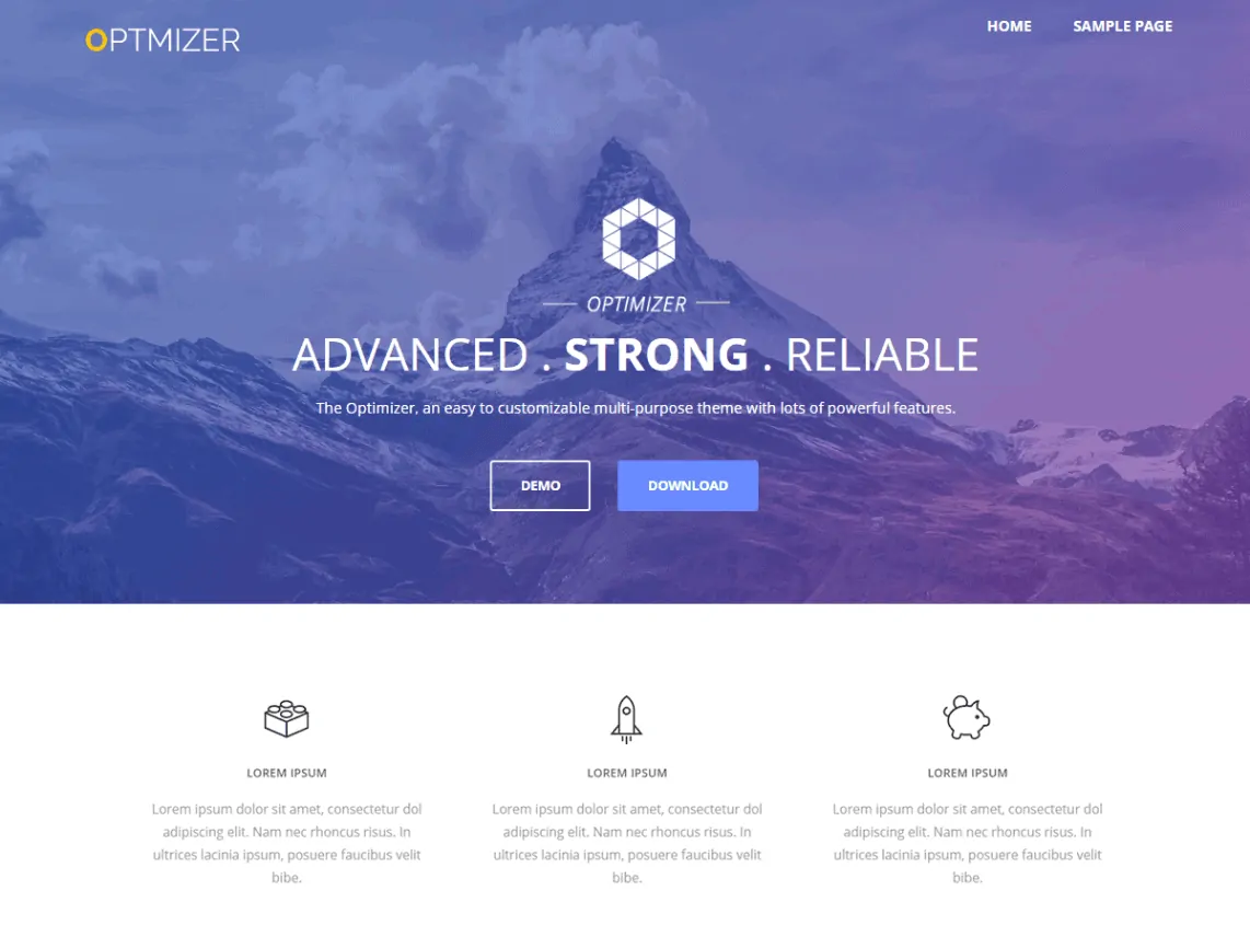 Optimizer