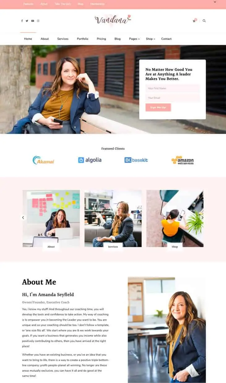 Tema WordPress gratuito Vandana