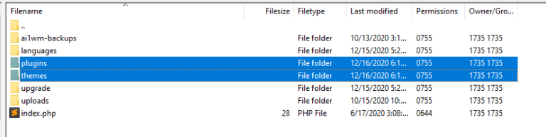 Accedere al tuo plugin WordPress e alle cartelle dei temi tramite FTP.