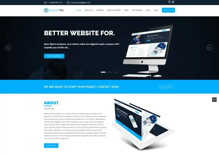 Ampio tema WordPress Pro