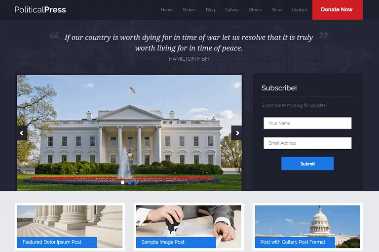 Stampa politica