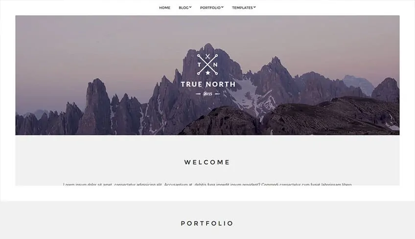 True-North Бесплатная тема WordPress
