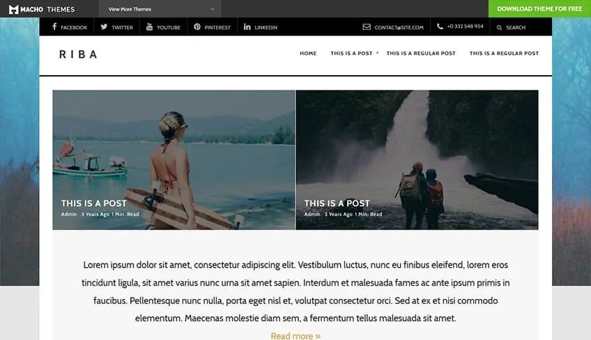 Riba-Lite Free WordPress Theme
